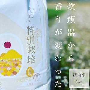 大自然米【3kg】精白米