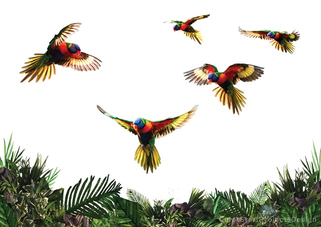 レインボーロリキート Rainbowlorikeets Qspdesign レインボーロリキート Rainbowlorikeets Qspdesign