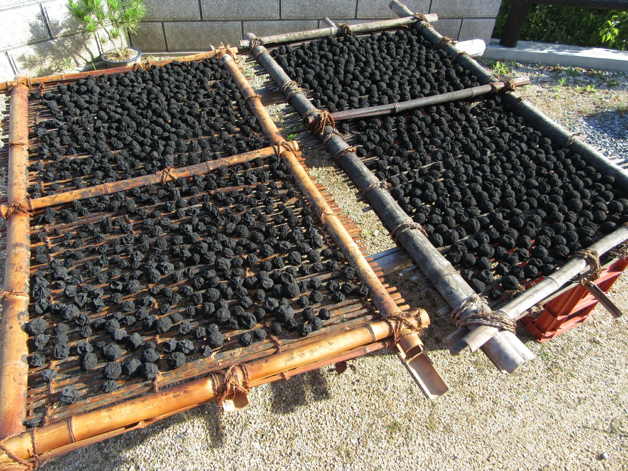 M-439】茶犁乌梅1ループマステ切り売り