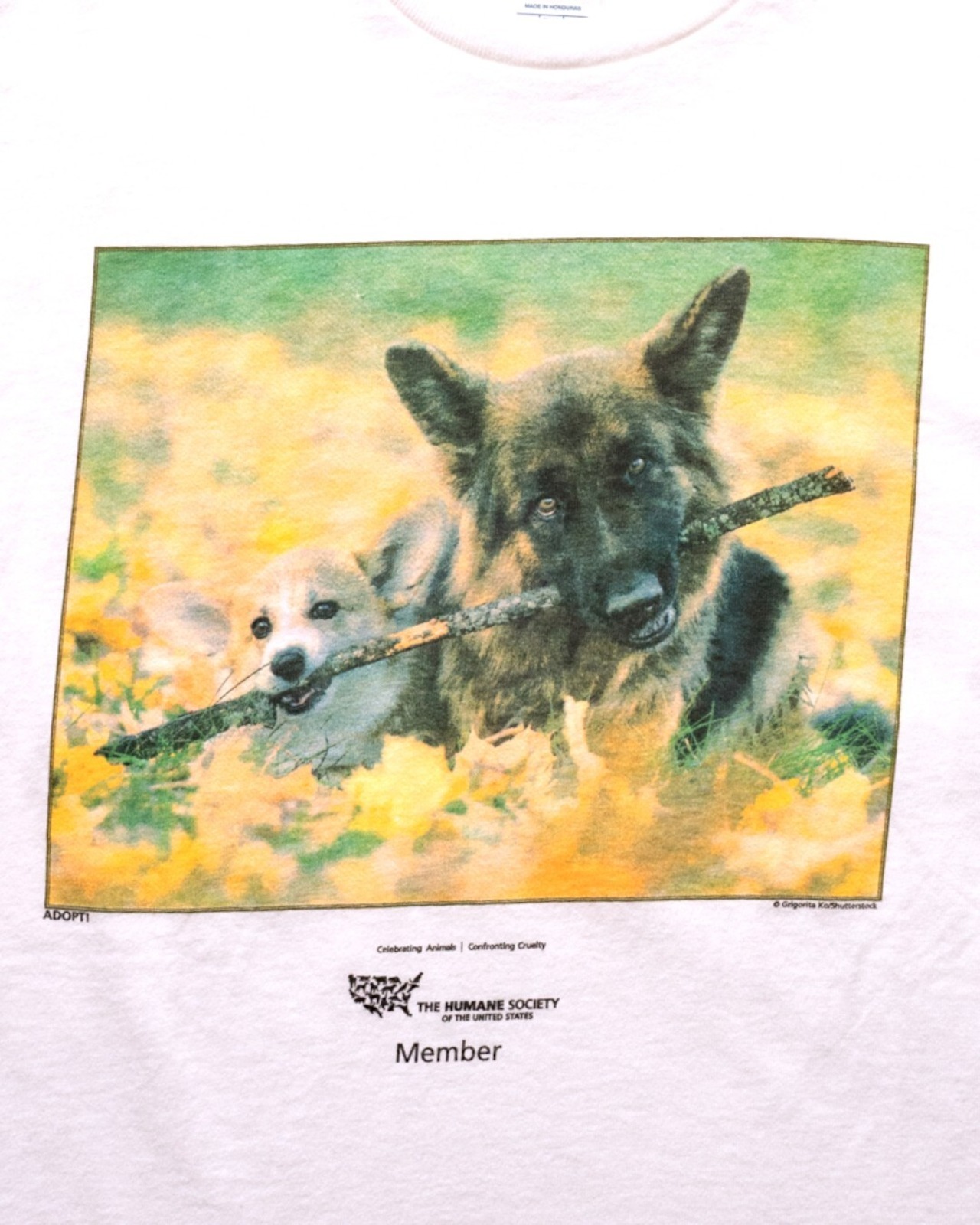 【古着】保護団体 犬が枝をアニアニT - 2