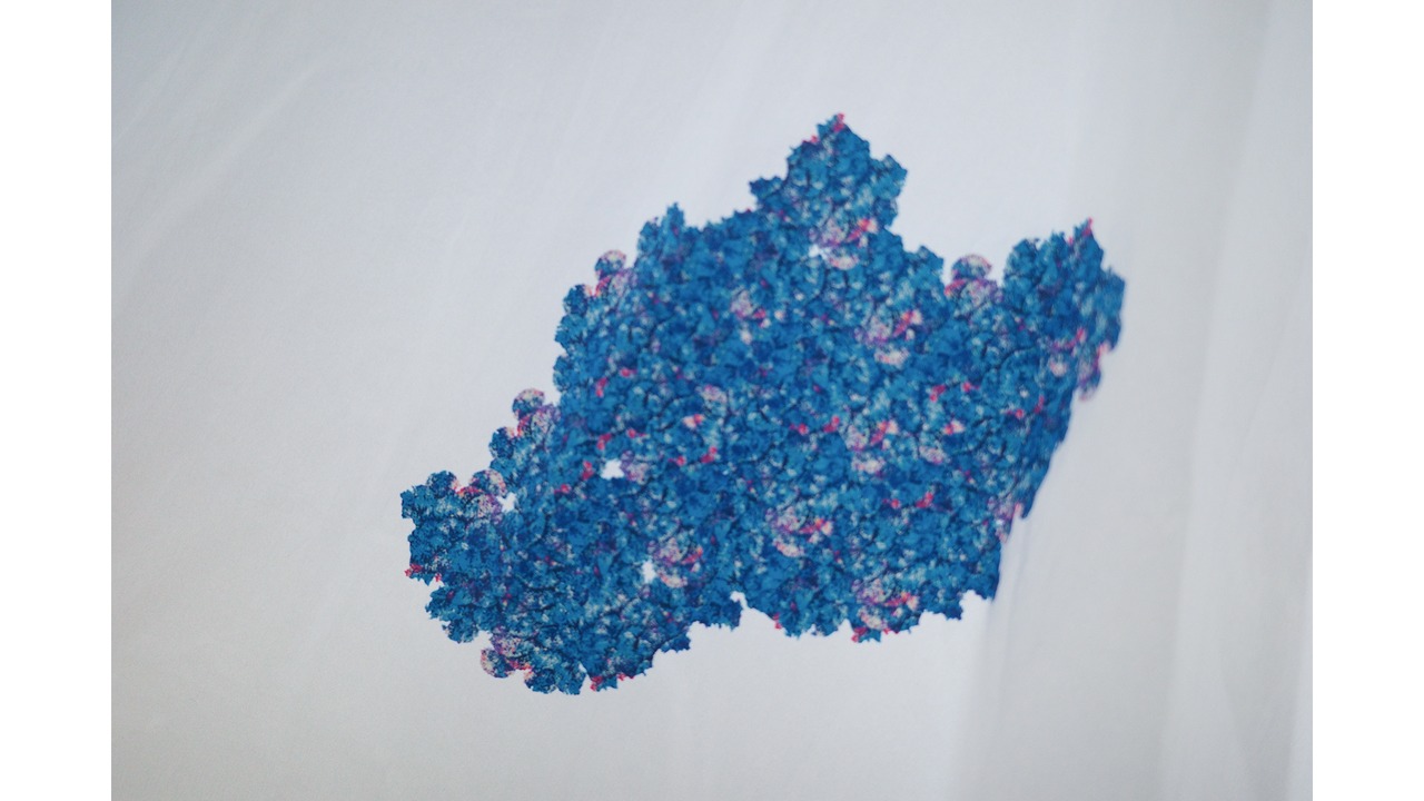 Flower Cloud / 雲型花 | 15.4cm x 9.8cm - 5枚セット