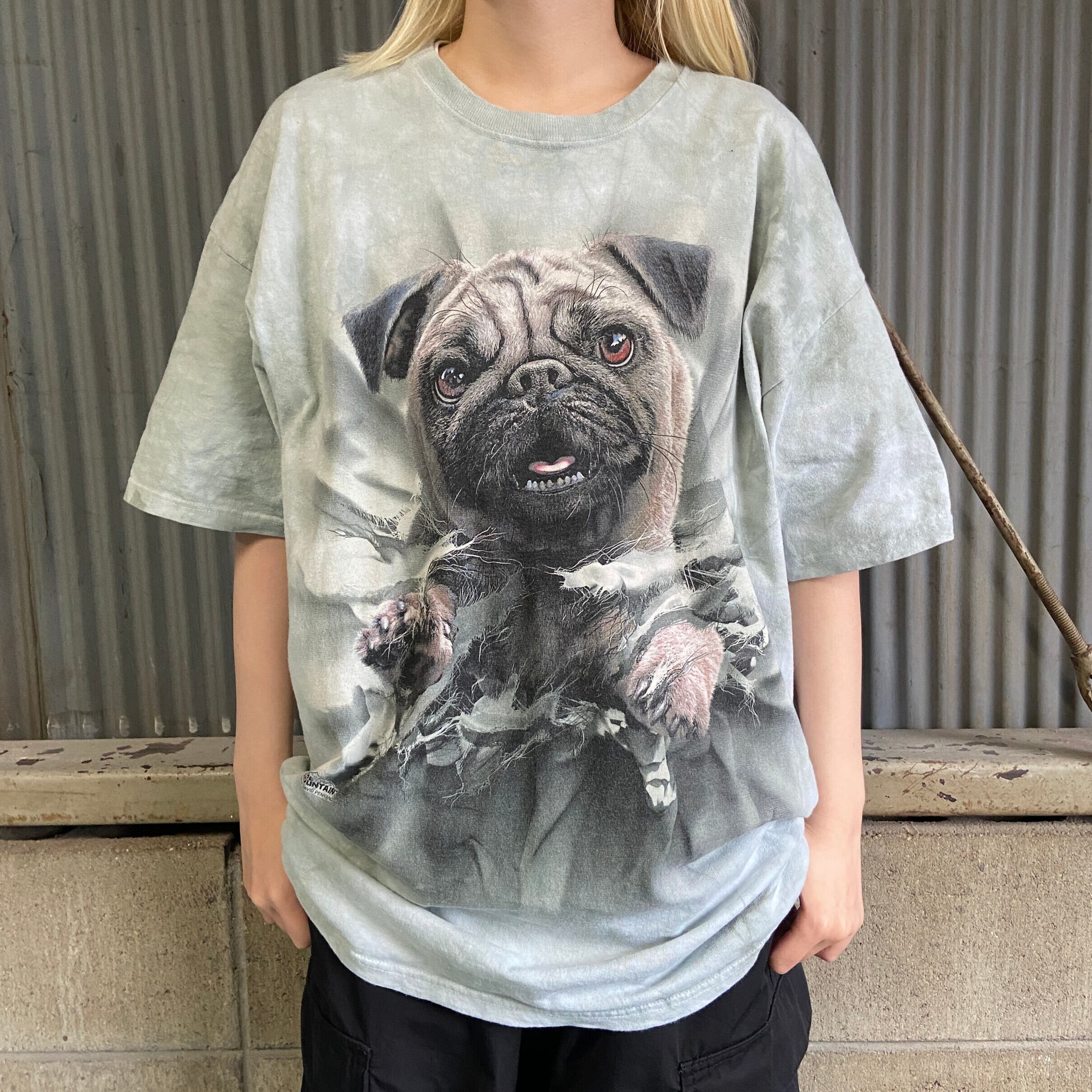 THE MOUNTAIN タイダイ パグ 犬 動物 アニマルTシャツ メンズXL 古着