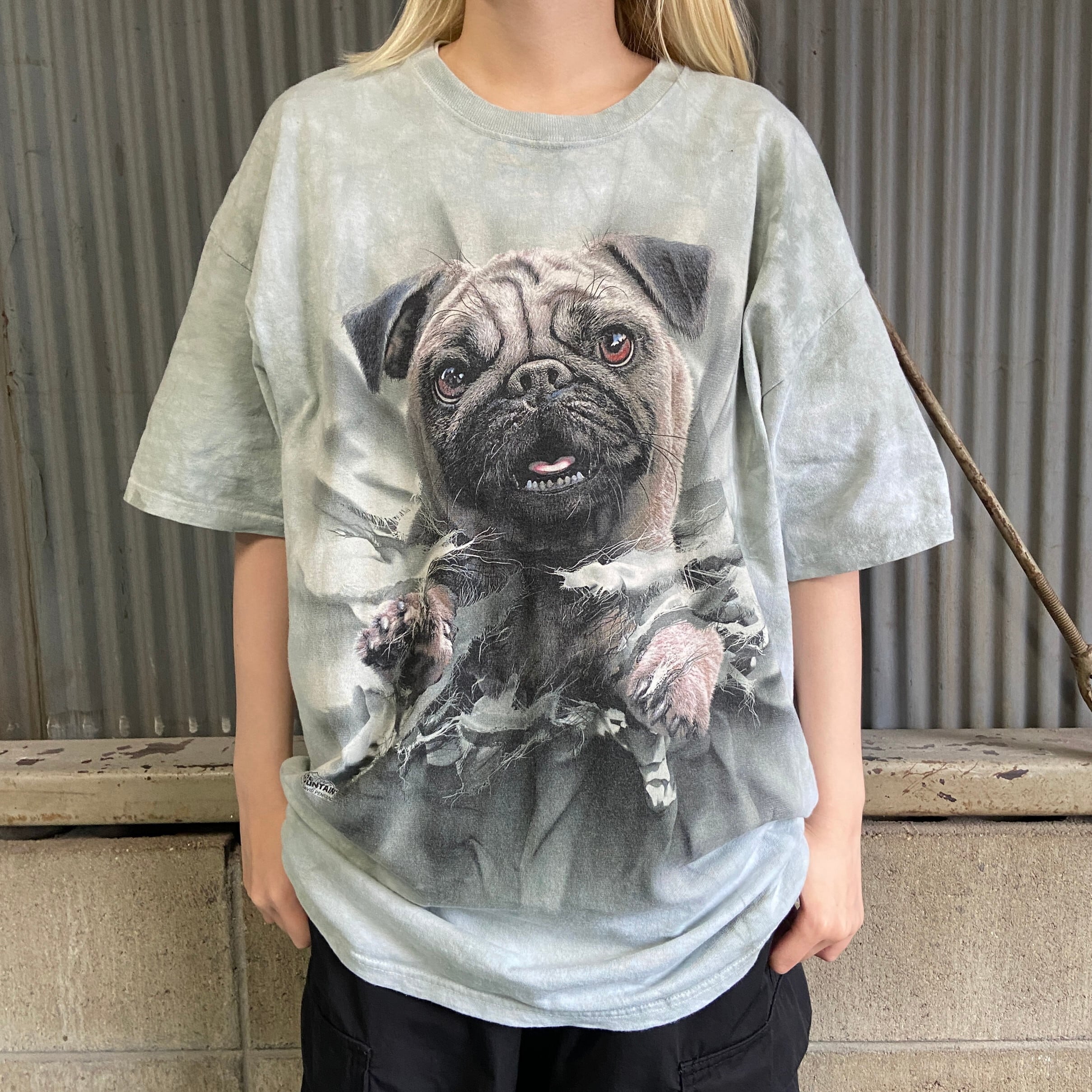 THE MOUNTAIN タイダイ パグ 犬 動物 アニマルTシャツ メンズXL 古着 
