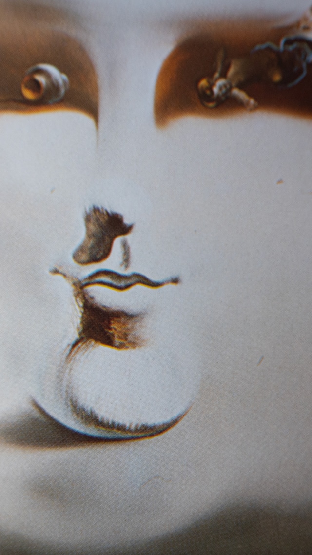 "Salvador Dalí" vintage Art book