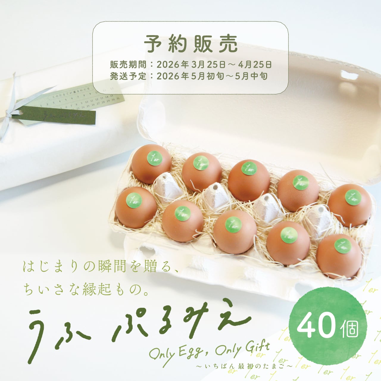 【5月初旬～中旬お届け】うふ ぷるみえ　40個