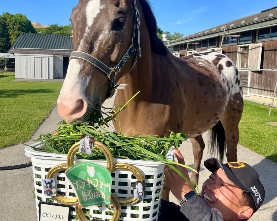 青草プレゼント【乗馬】あるふぁ馬宛