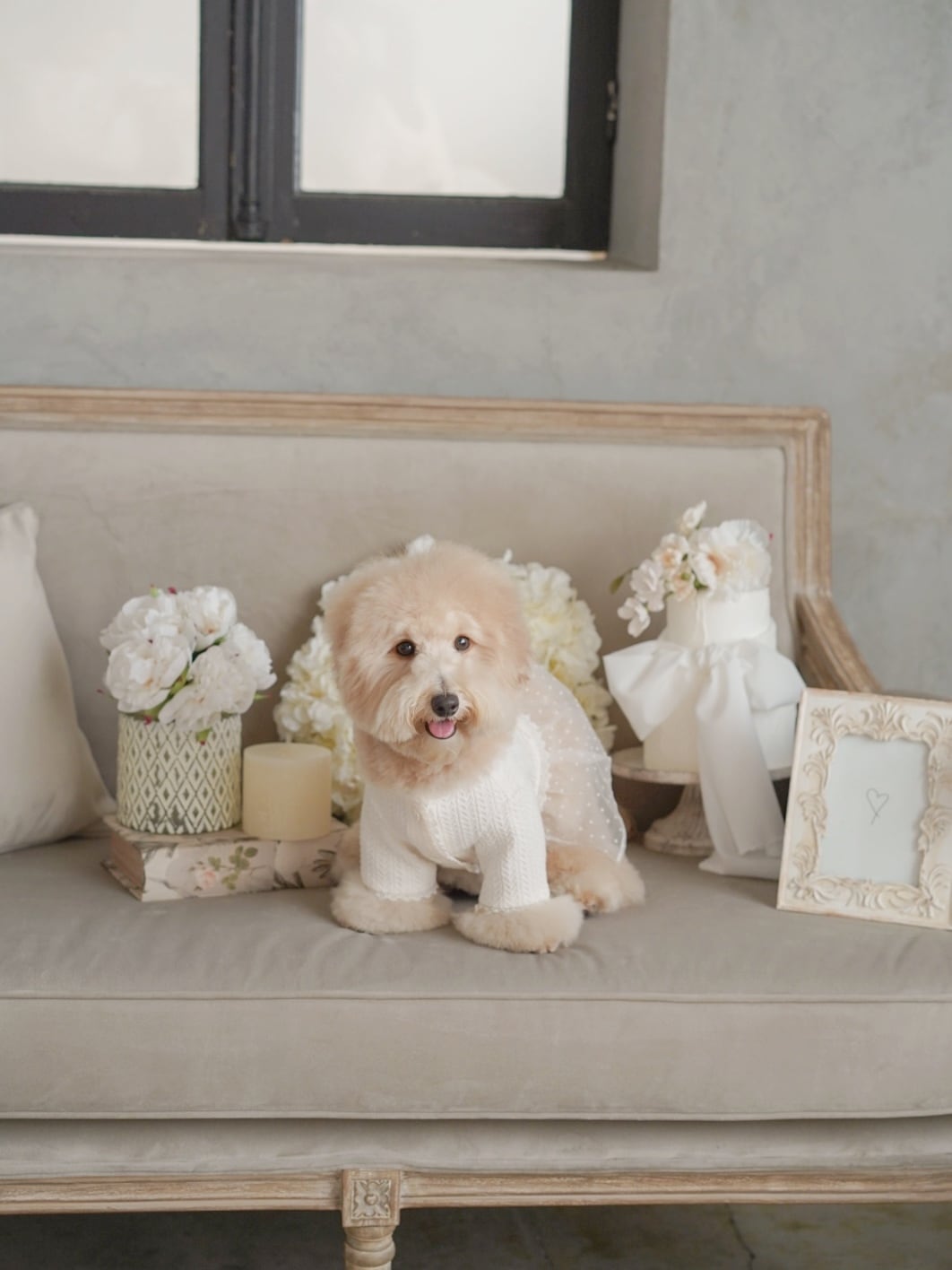 〈レンタル〉WHITE