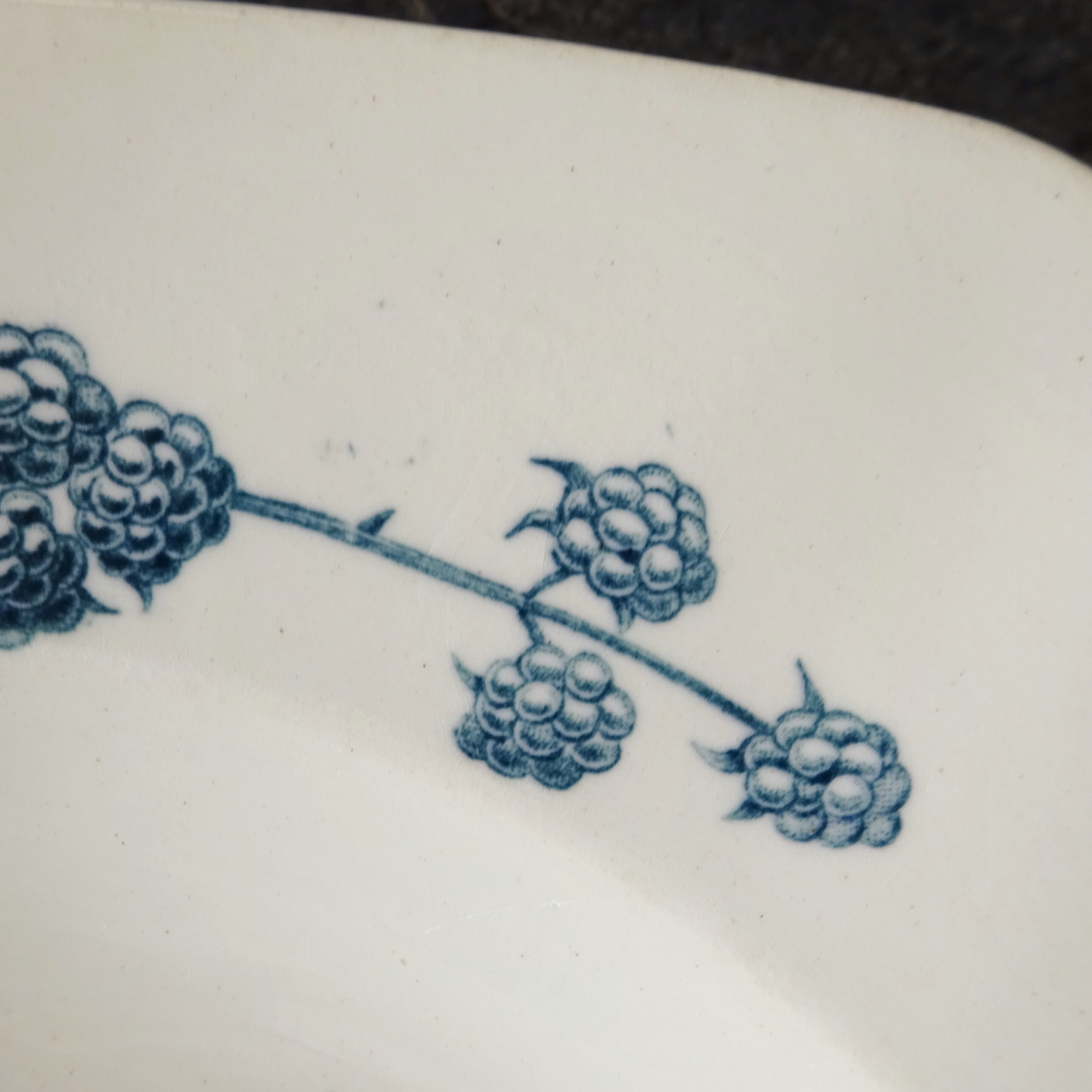 【 Épuisé 】KG Lunéville  modèle《RONCE》Assiette creuse