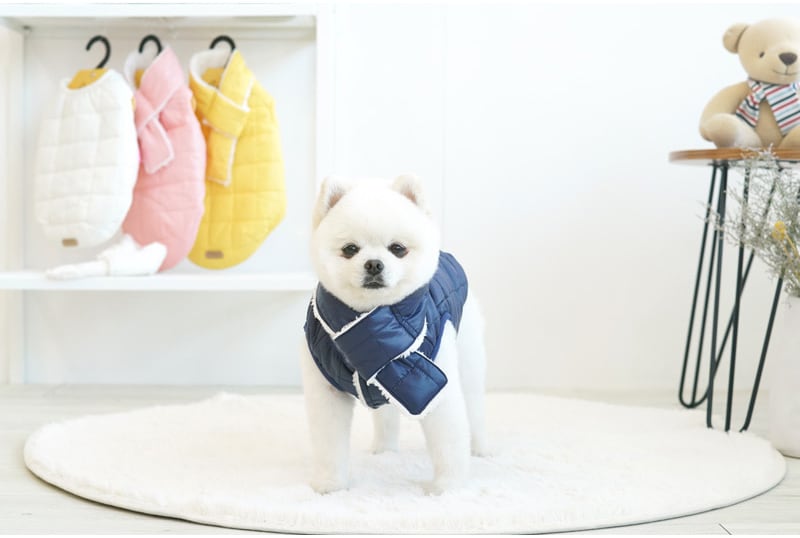 【SALE】軽量ダウンベスト 中型犬 大型犬 2XL 〜 5XL  4color  /  犬服 犬の服 犬 パーカー アウター シンプル 暖かい 防寒 ドッグウェア 