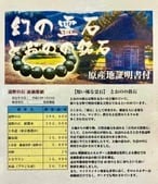 3) 霊石「遠野の石」スーパー・バングル | レムリアの太陽