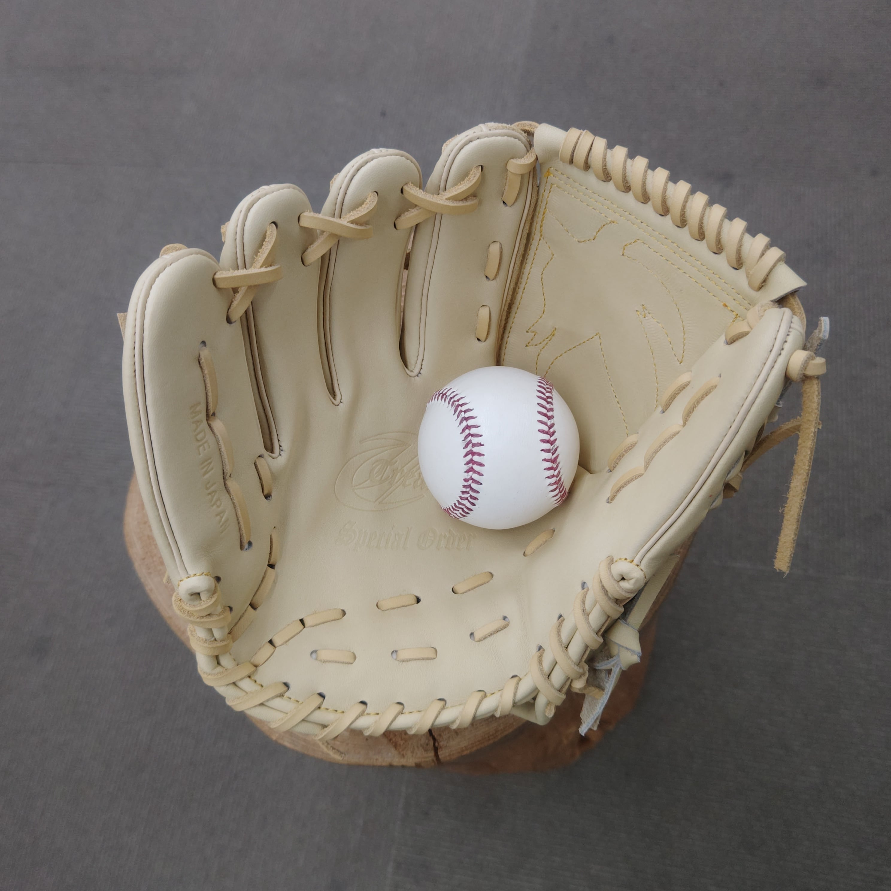 Treasure トレジャー 投手用特化型特殊重心グローブ 肩甲骨