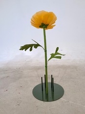 オーガンジー ジャイアントフラワー ポピー30cm オレンジ・レッド