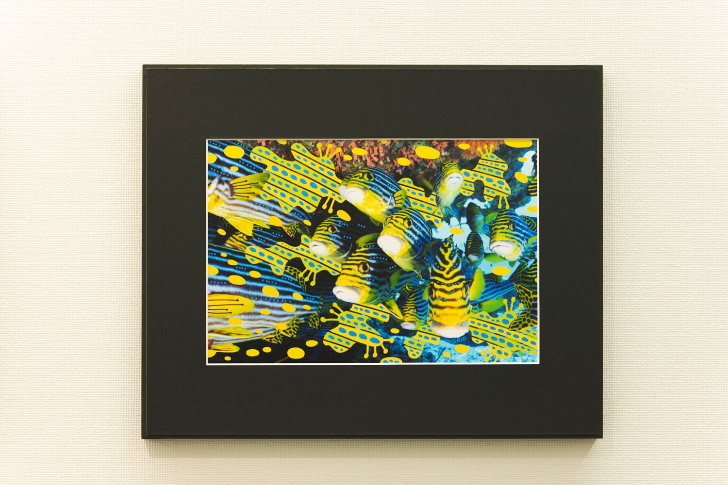 向かうべき場所へ【鍵井靖章×INGRID】 | Pay ID