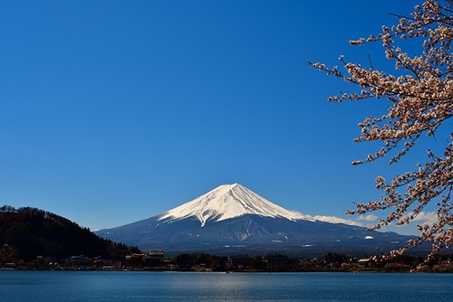 富士山と桜 01