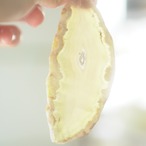 Healing Forest 07 - アゲートヒーリングチャイム / Agate Sun Catcher Wind Chime 1076