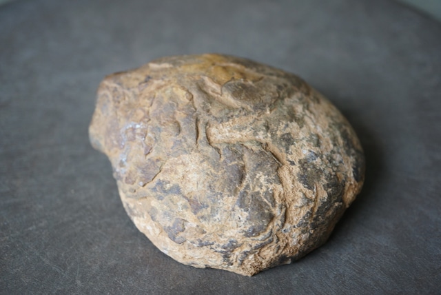 セプタリアン Septarian 1344