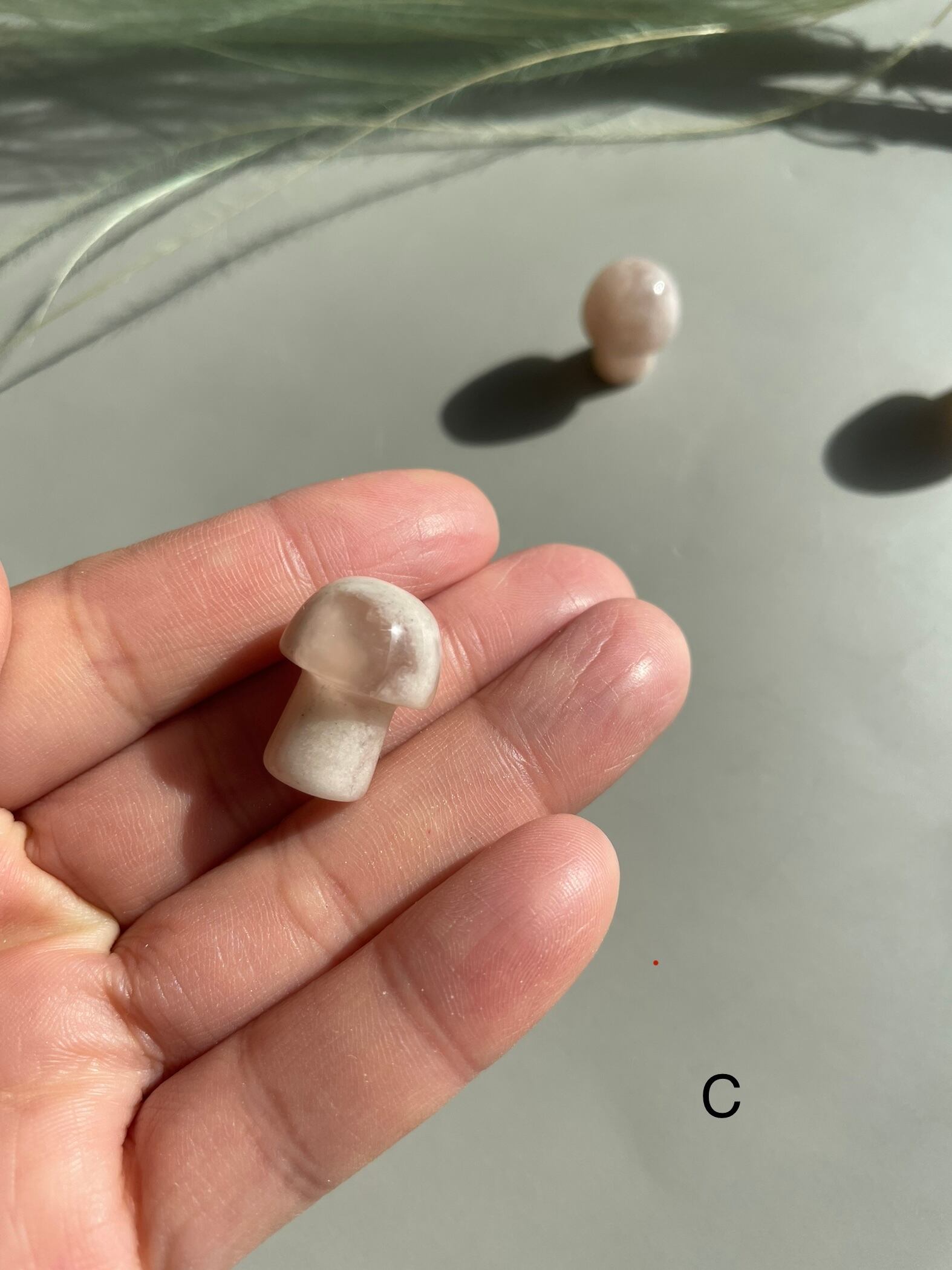 桜めのう　きのこ