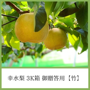 幸水梨 3K箱 御贈答用【竹】（大玉７個～８個入り）