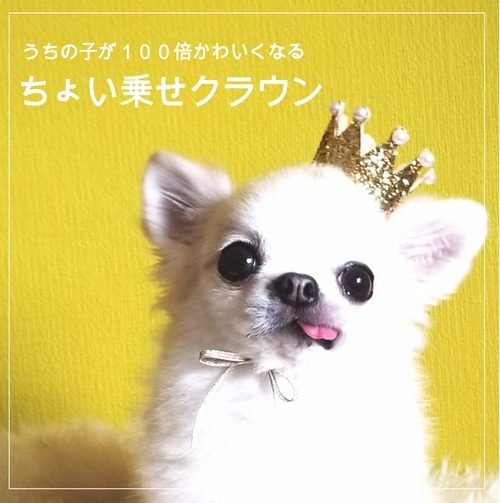 ちょい乗せクラウン