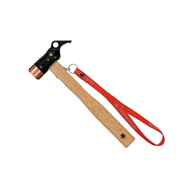 ケーツー K2 テレマーク スキー Piste Pipe ピステパイプ 169cm