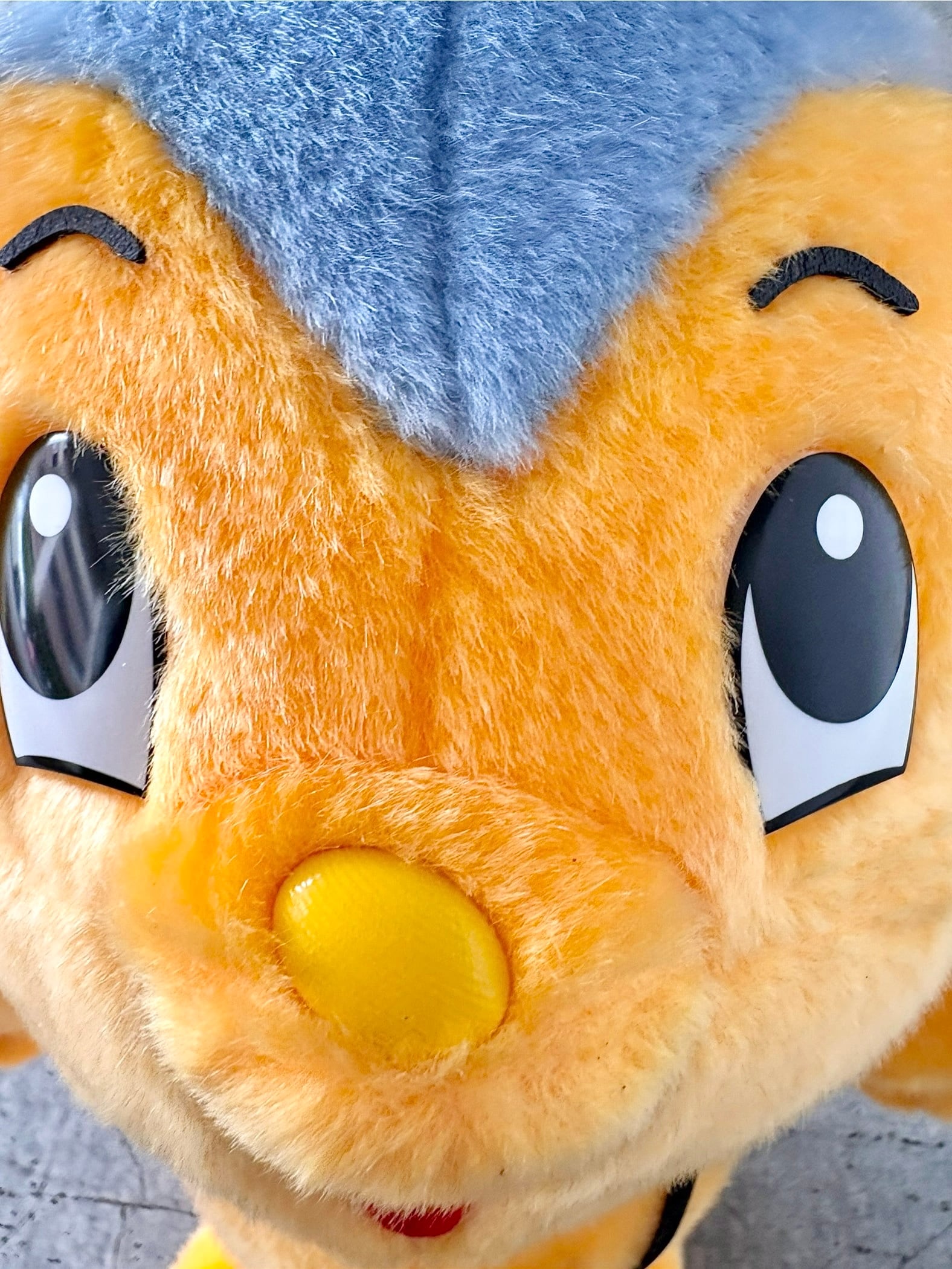 もやしもん
