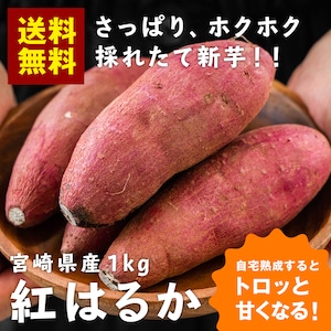 【熟成前】新芋 ご家庭用 宮崎県産 さつまいも 紅はるか(生芋) 1kg 送料無料 サ ツマイモ