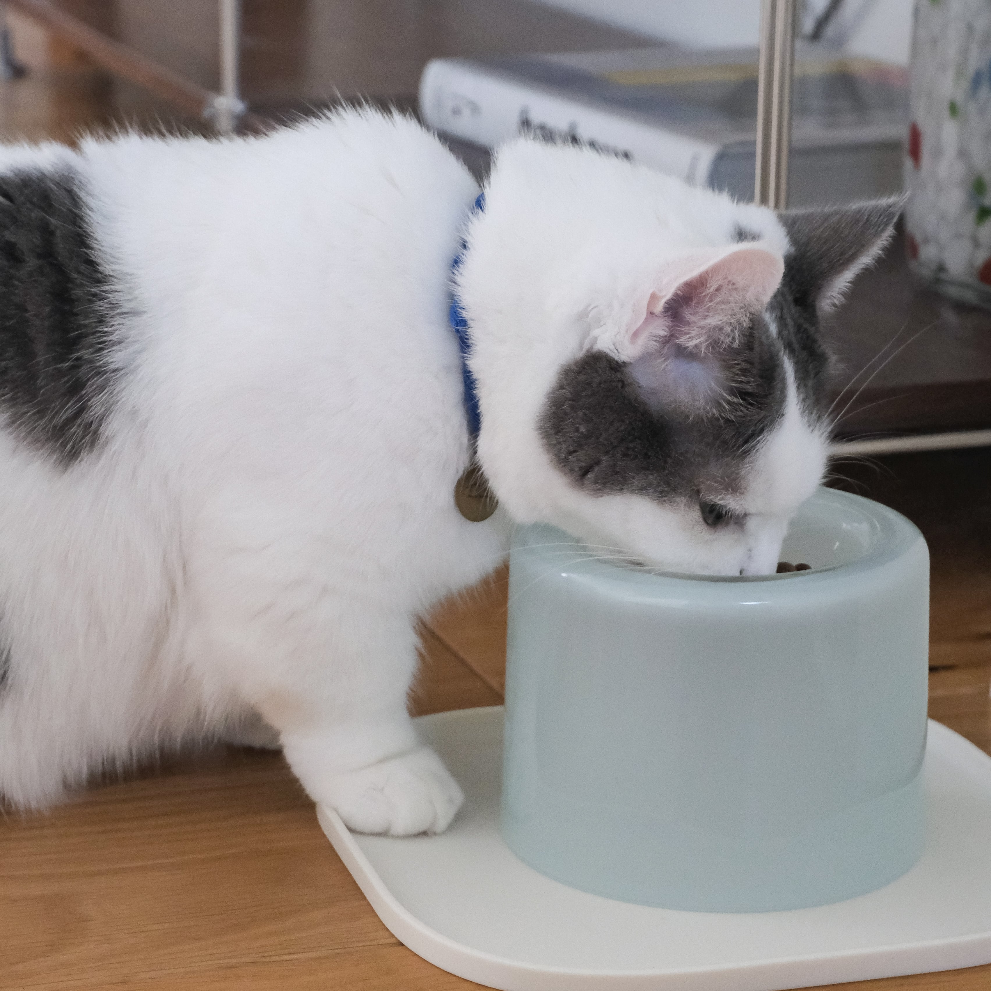 tofmofu フードボウル　Glass Food Bowl／White Food Bowl | tofmofu