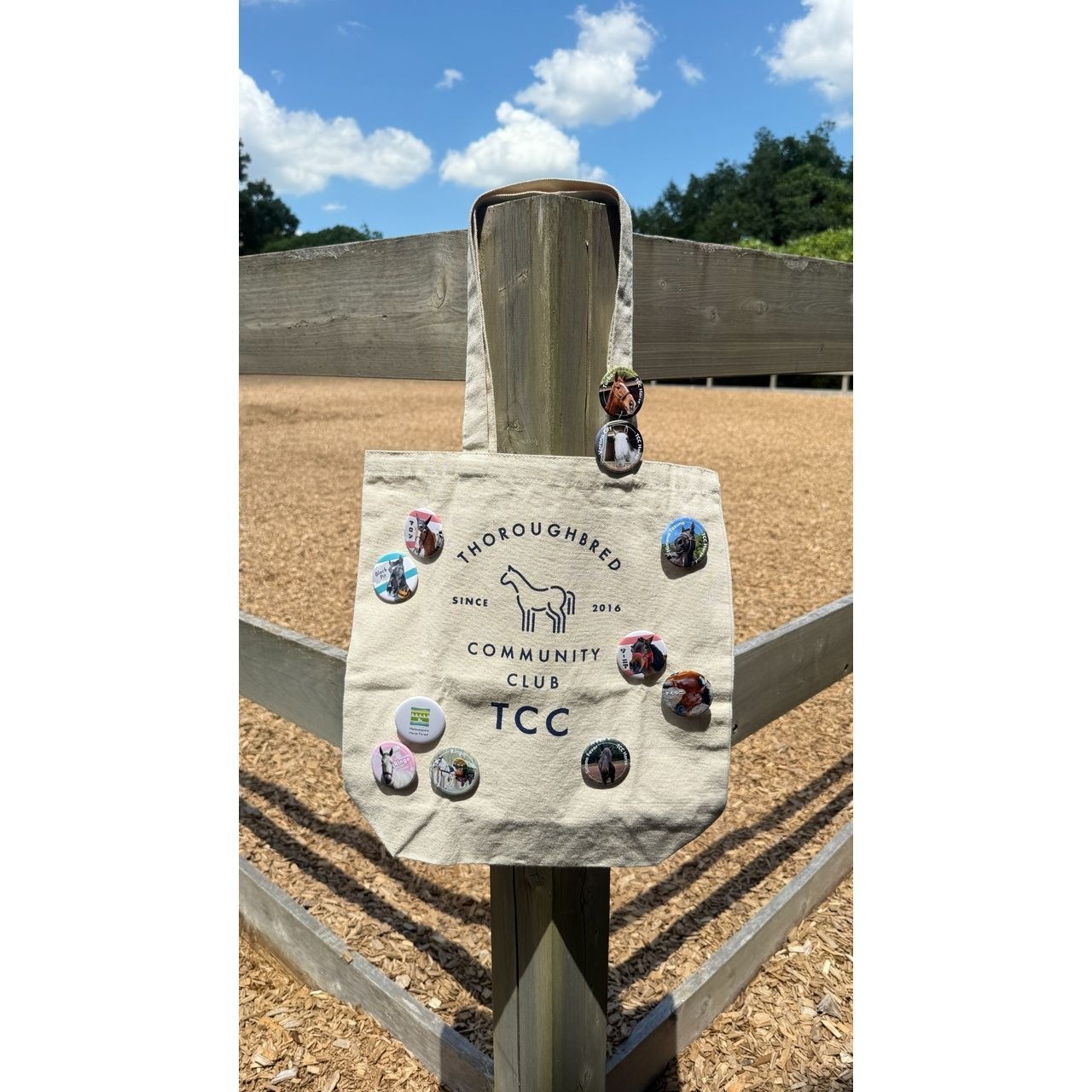 TCC缶バッジ りんご ピンク