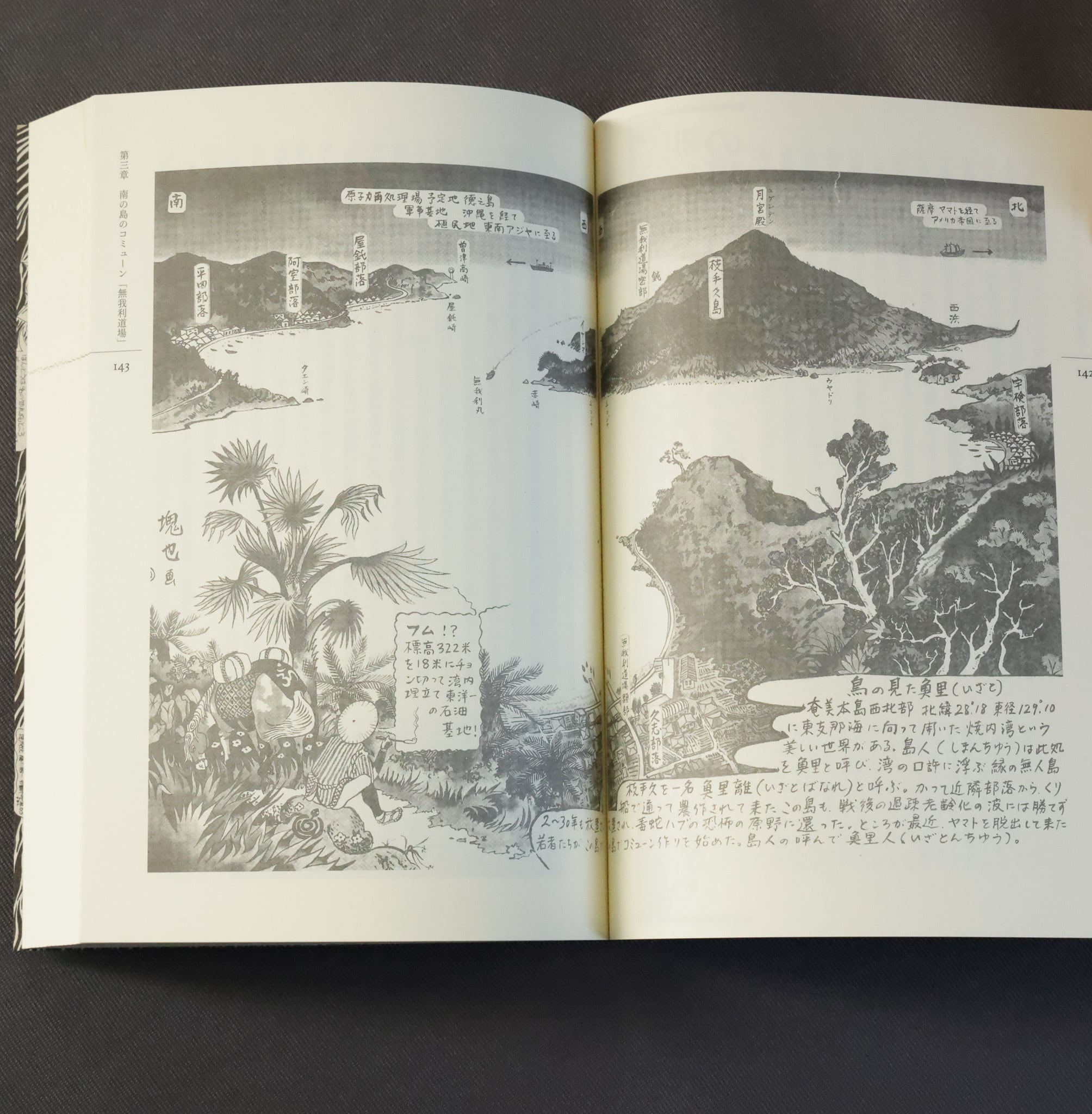 アイ・アム・ヒッピー 日本のヒッピー・ムーブメント史'60ー'90（増補