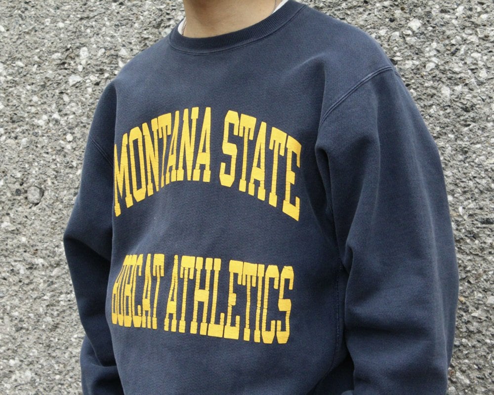 Champion Reverse Weave Vintage Sweatshirt [Champion] [1990s-] NV