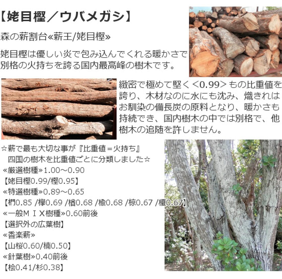 森の薪割台 姥目樫 薪の王様 ウバメガシ 薪割り台 広葉樹原木 焚き火 