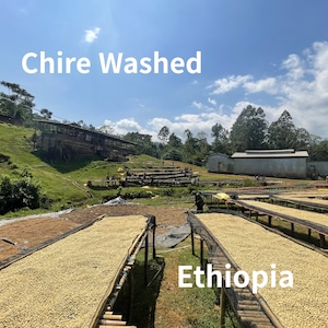 【レモンジュースのようなエチオピア】シダマ チレ ウォシュド 豆または粉/100g〜