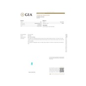 パライバトルマリン ブラジル産 リング 0.42ct D0.41ct pt900 Paraiba Tourmaline