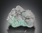 スミソナイト / ヘミモルファイト【Smithsonite on Hemimorphite】メキシコ産