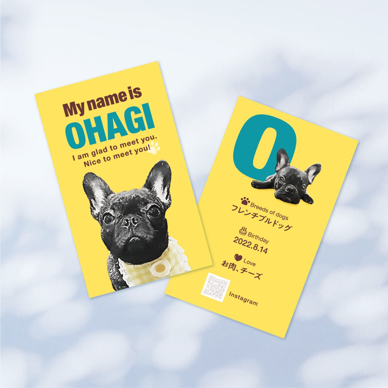 名刺 〈ポップstyle〉 ☆100枚入 | ひまわんギャラリー | 〈オーダー