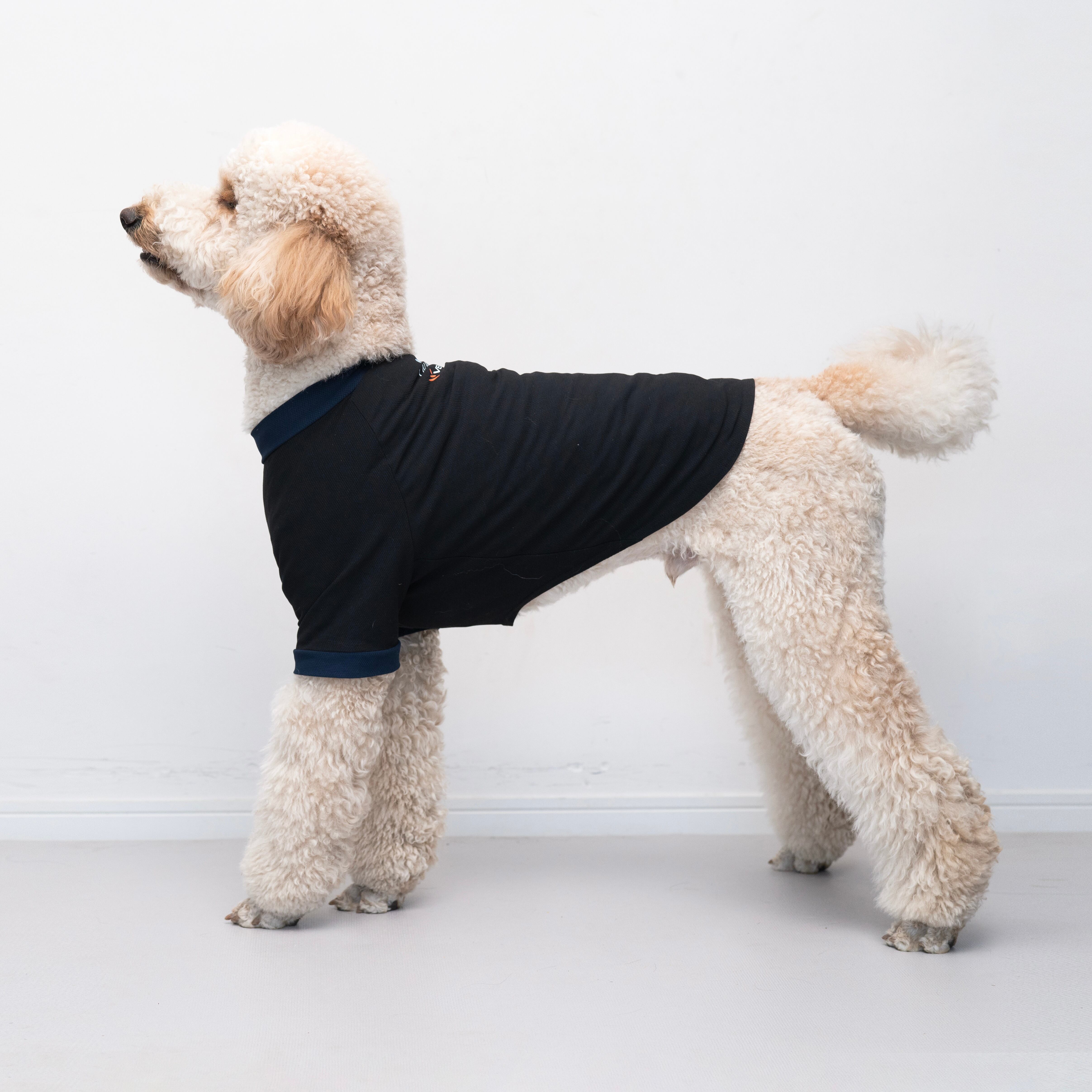 LOULOU STUDIO EVANIVORY 関税送料込 リカバリーDOGウエア LAUW × VENEX support to マナーニ Lsize