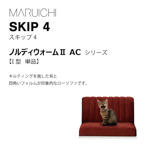 SKIP4（ノルディウォームⅡAC）I型単体