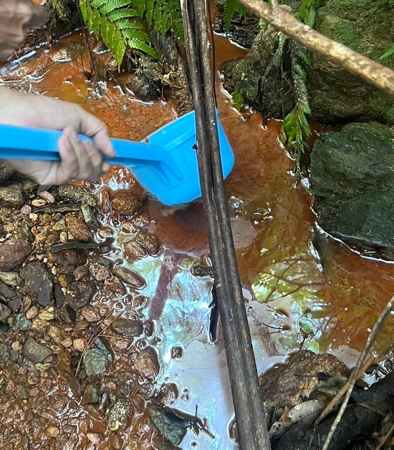 紅偶(あかたま)-12mm】ボールペン | 匠衆・朱椿粋
