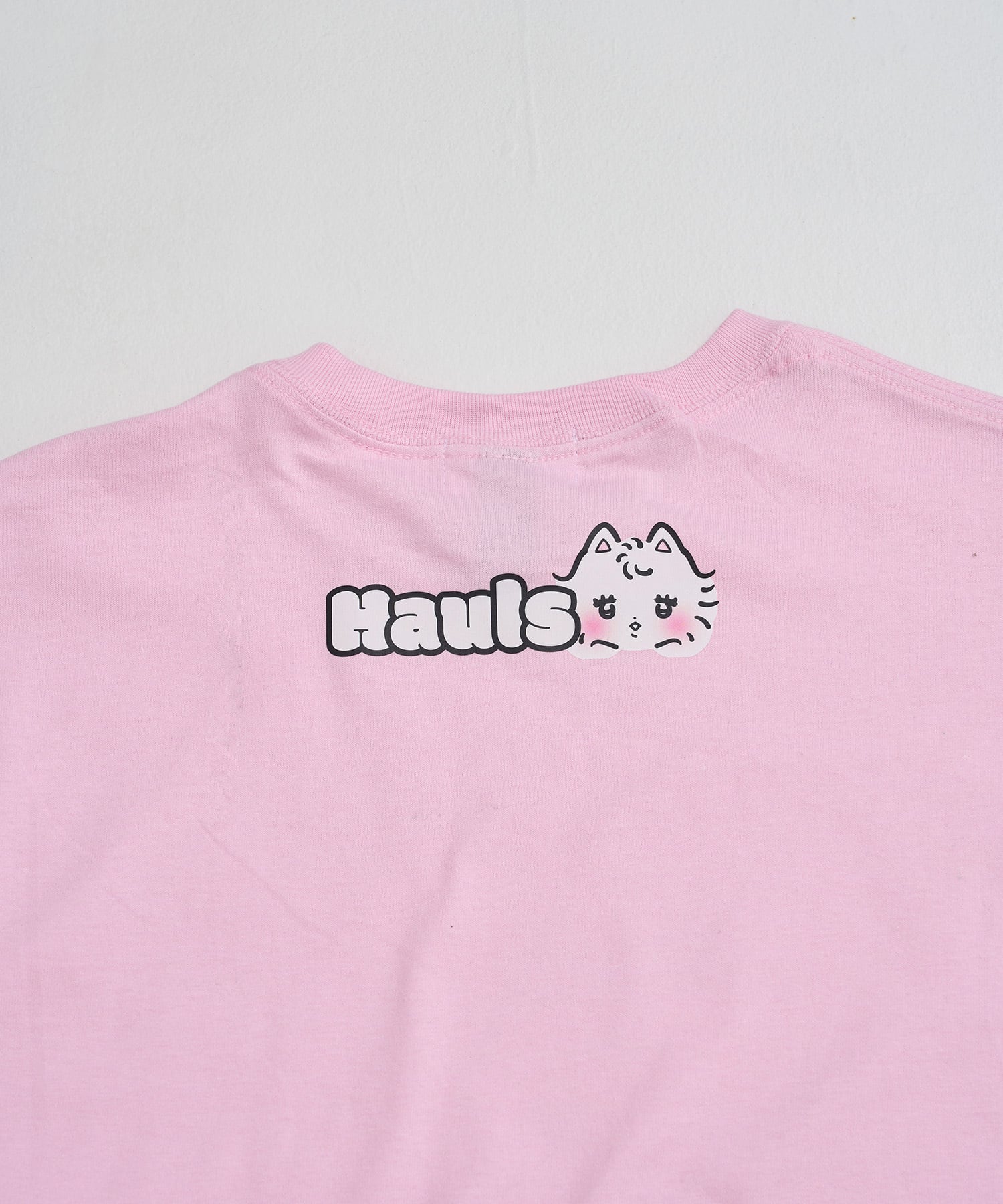 どどーん！BIGTEE | Hauls