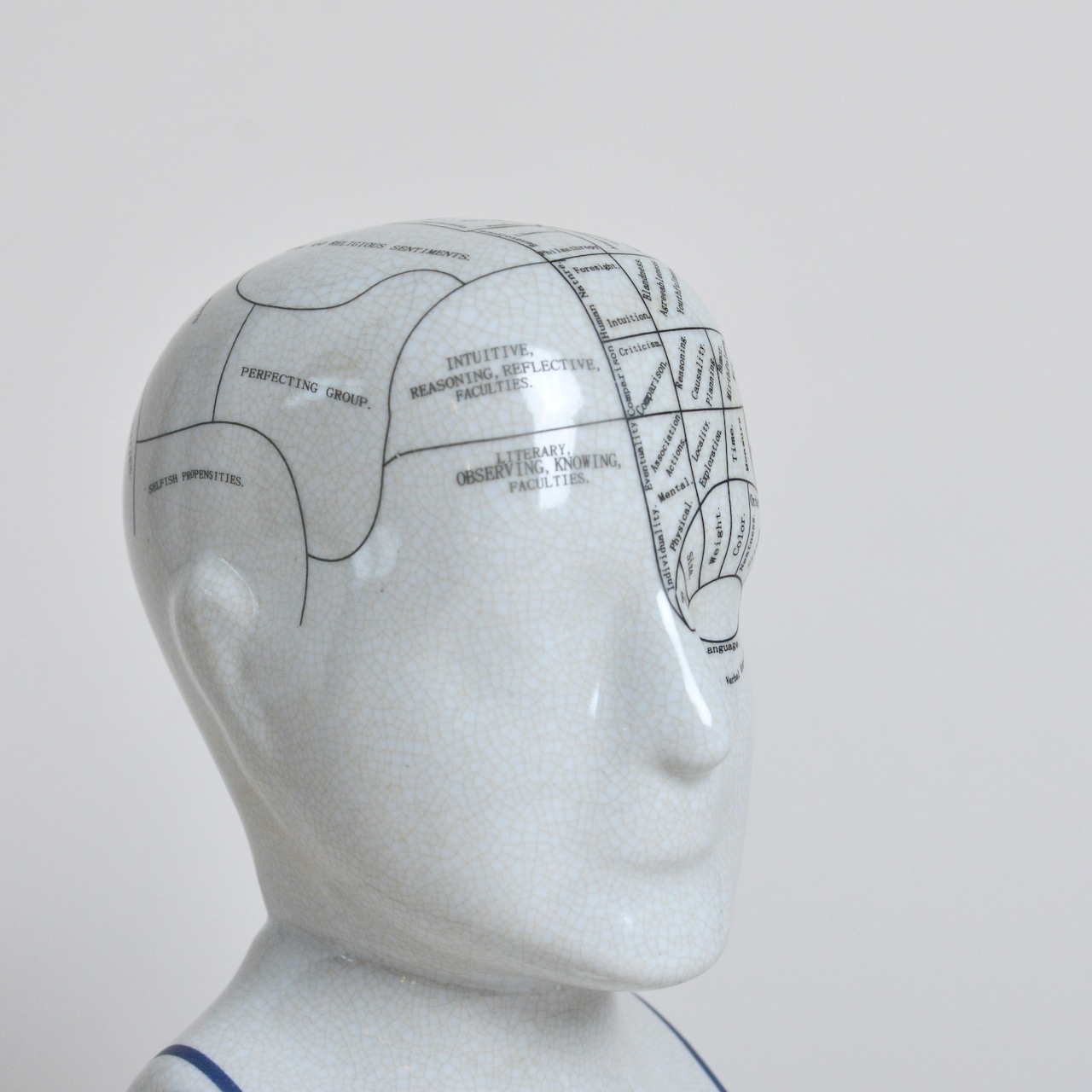 Phrenology Head / フレノロジー ヘッド 【L】〈 模型 / ディスプレイ / オブジェ 〉SB2012-0027