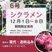 シクラメン[ストロベリーフラッペ]（6号）【12月1日～8日予約受付中　期間限定販売｜箱代送料込み価格】