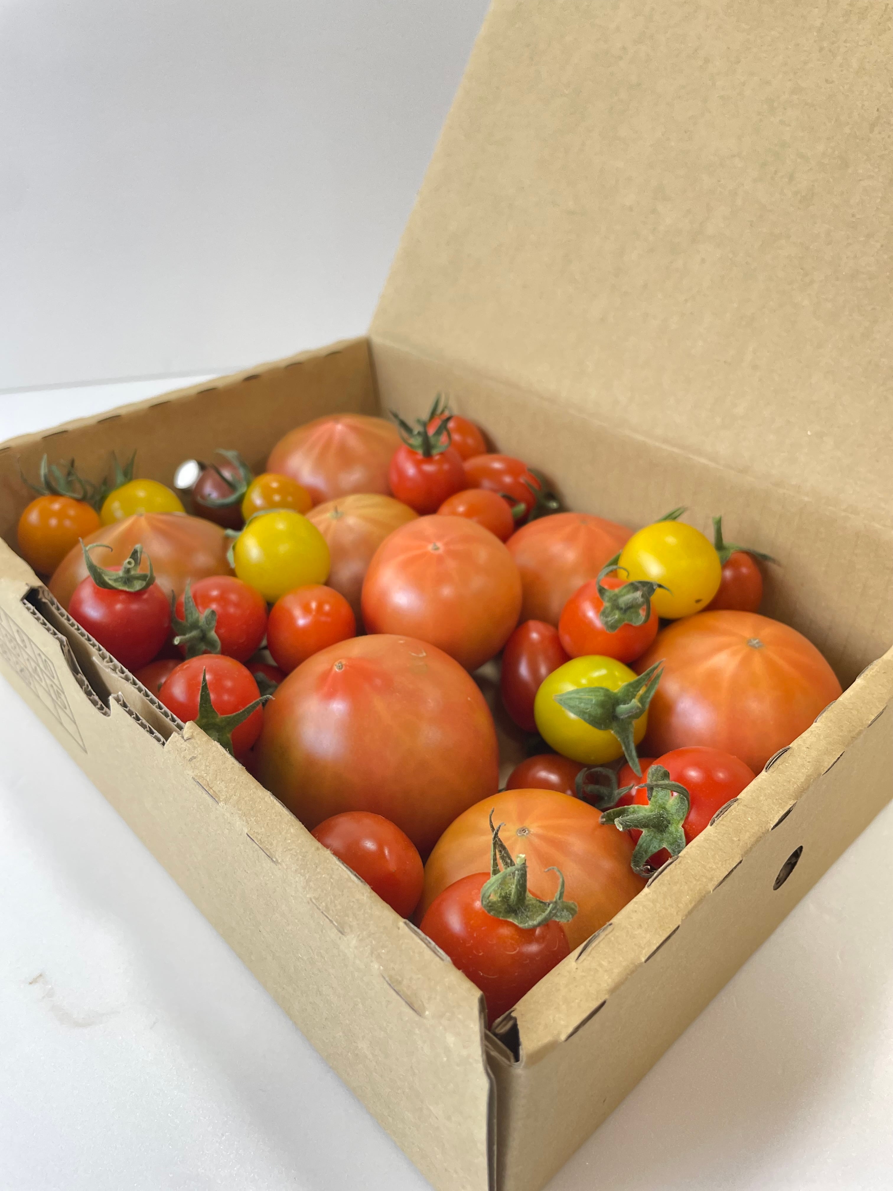 みにとまと よくばり！トマト詰め合わせBOX 約1.3㎏【arimato】 | 南島原産直