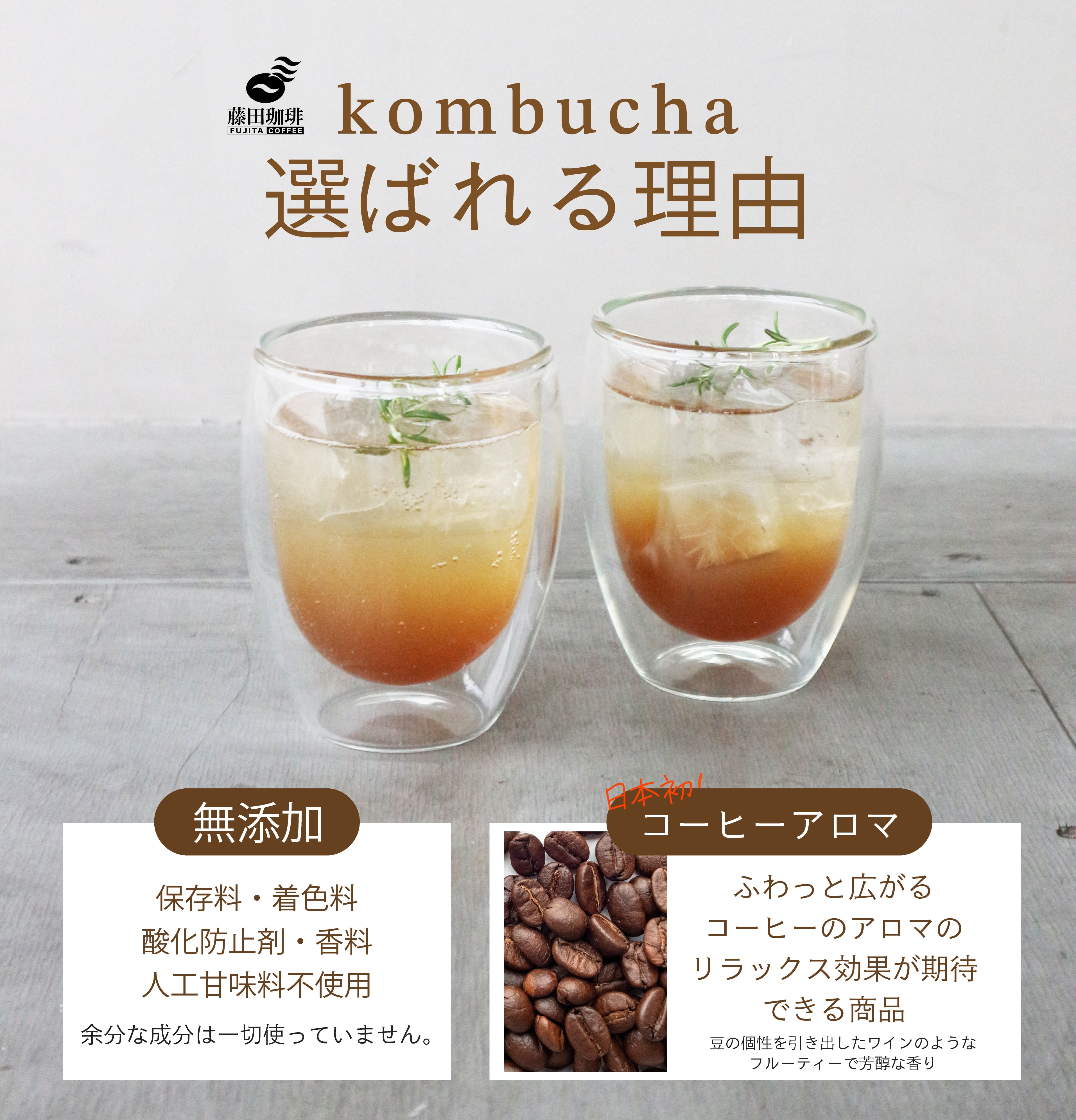 Coffee kombucha 500ml 1本 化粧箱入 | kombucha2025
