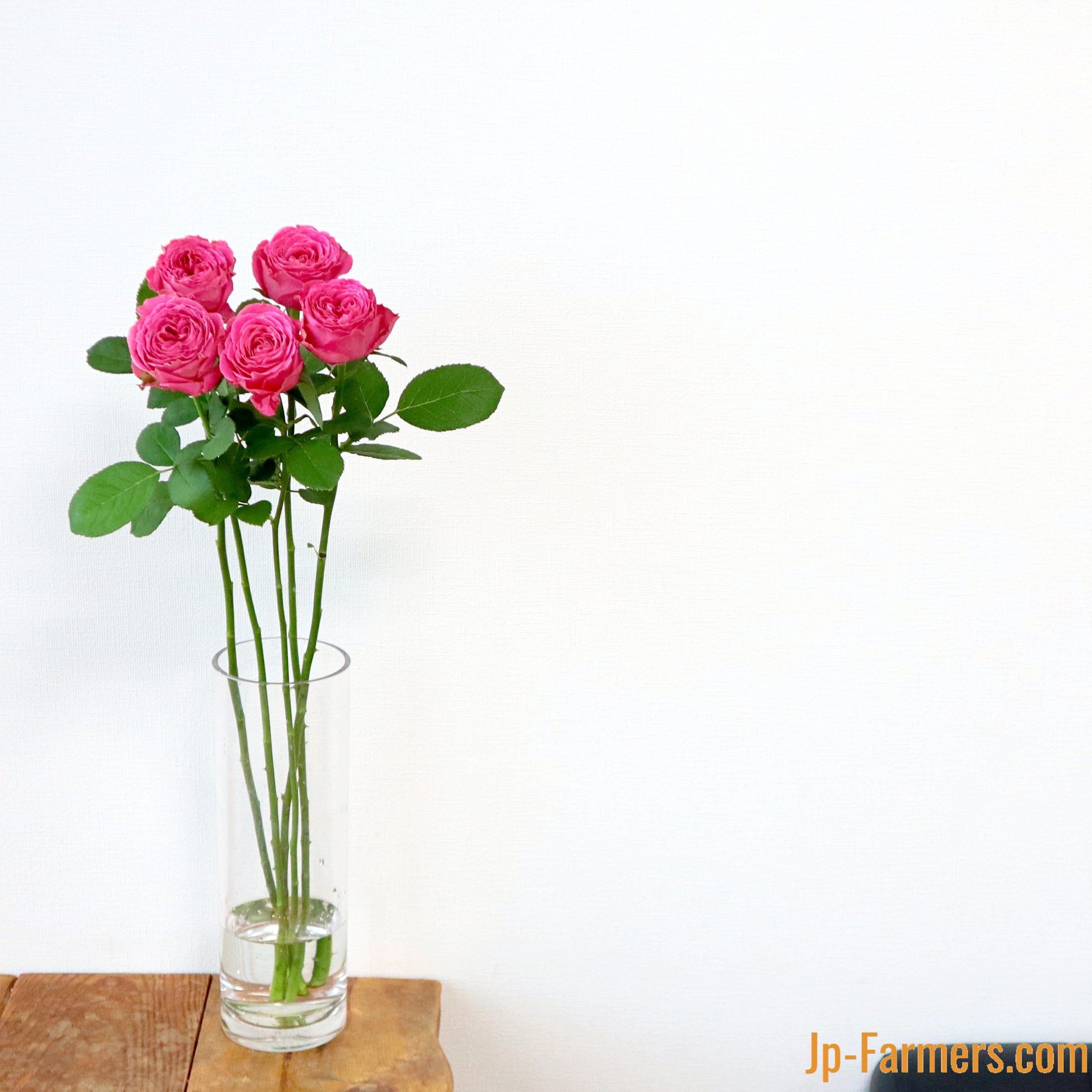 FINEROSE ☆バラ 品種名：ポムグラニット ディープ