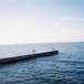 【7/12発売】Hammersmark　/ Headland Park