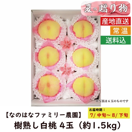 樹熟し白桃　1.5kg（4玉）【お中元】（OK22S-09）