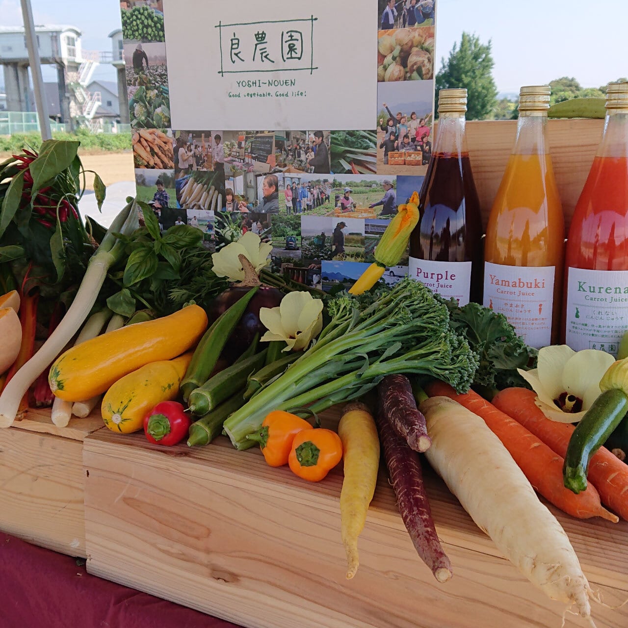 季節の野菜セット Mサイズ （8～10品目）