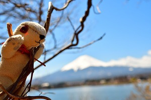 富士山の旅 01