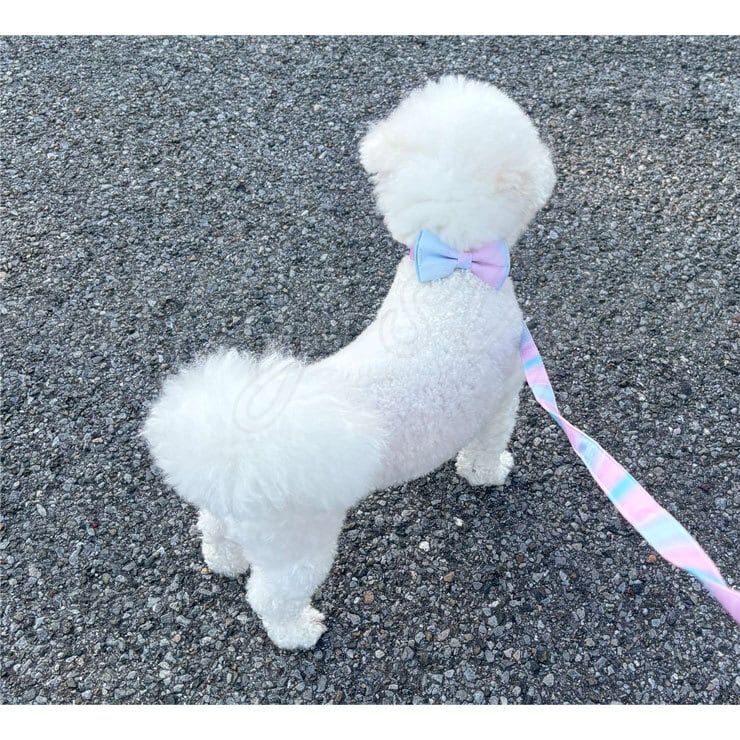 リボン首輪＆リードセット】首輪 リード 犬用 犬 リボン 可愛い