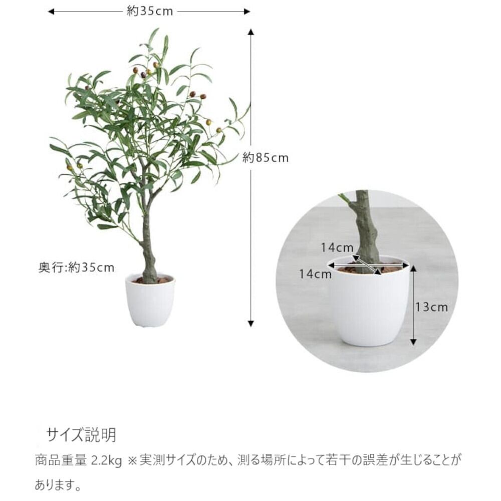 光触媒 観葉植物 ウォールグリーン フェイクグリーン ウオール 光触媒 観葉植物 ウォールグリーン フェイクグリーン ウオール